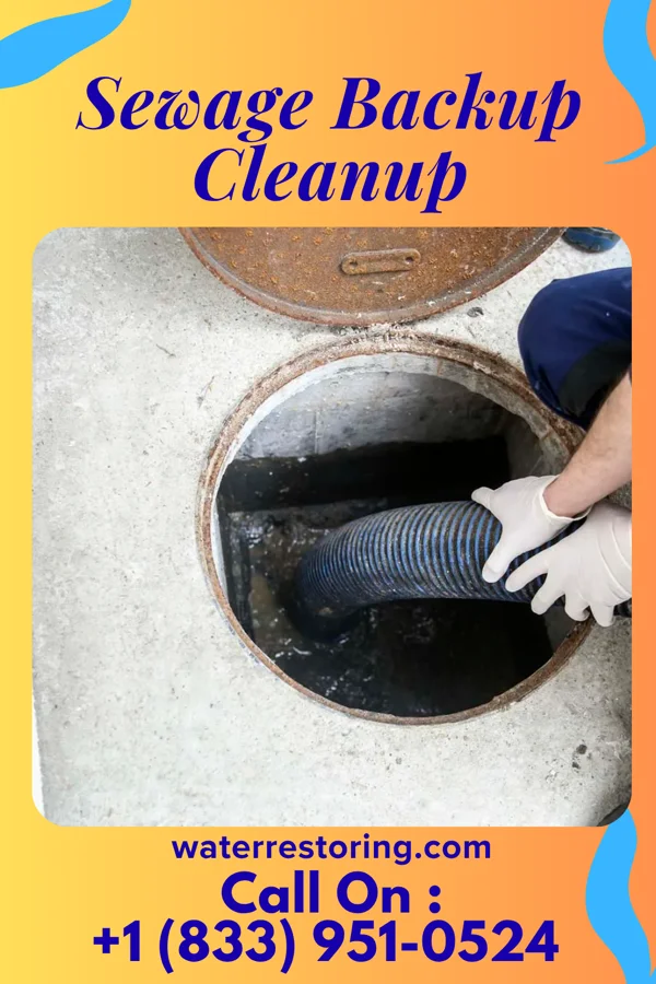 Sewage Backup Cleanup in Hastings, MN